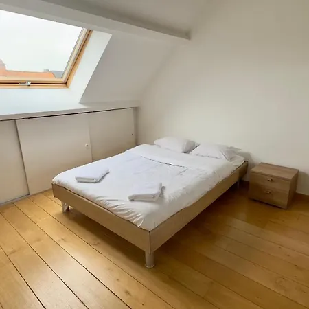 House With 5 Bedrooms Near Brussels Wemmel