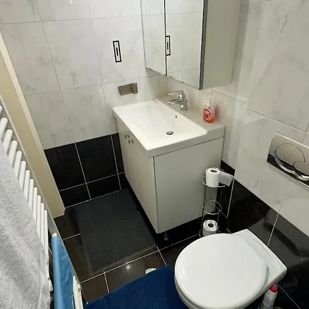 House With 5 Bedrooms Near Brussels * Wemmel