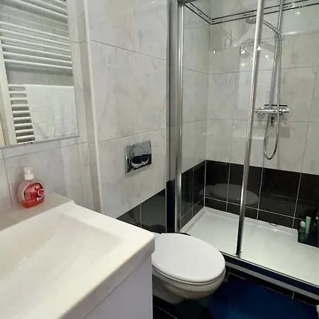 House With 5 Bedrooms Near Brussels Wemmel
